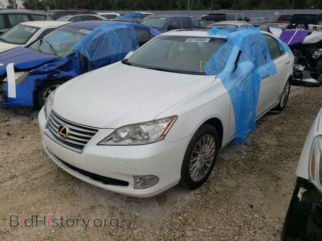 2011 LEXUS ES350 - VIN: JTHBK1EG7B2429818 - Фото 2