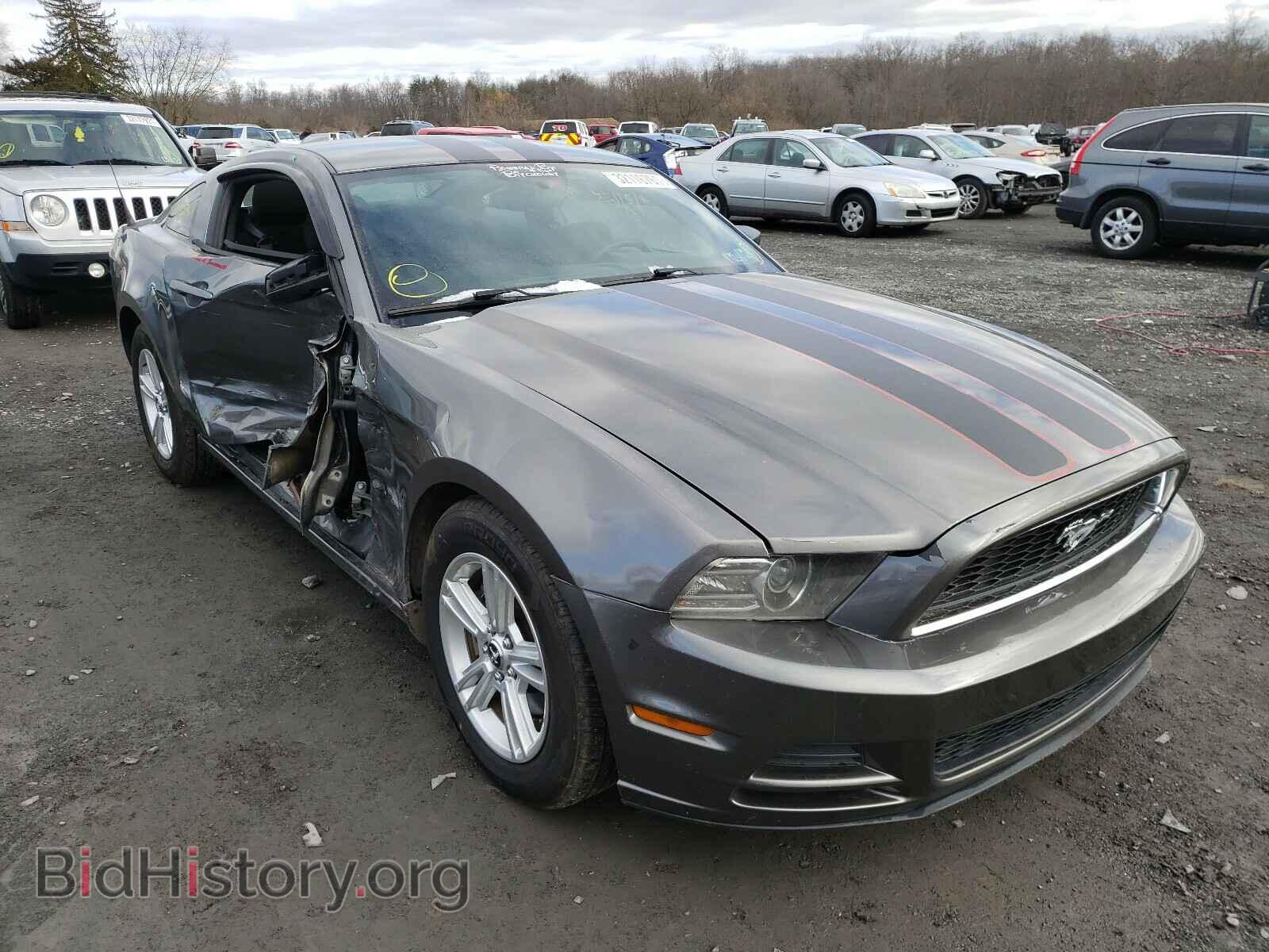 Photo 1ZVBP8AM1D5245450 - FORD MUSTANG 2013