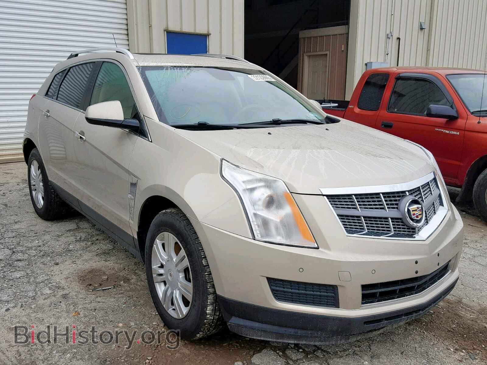 Photo 3GYFNAEY1BS522125 - CADILLAC SRX LUXURY 2011