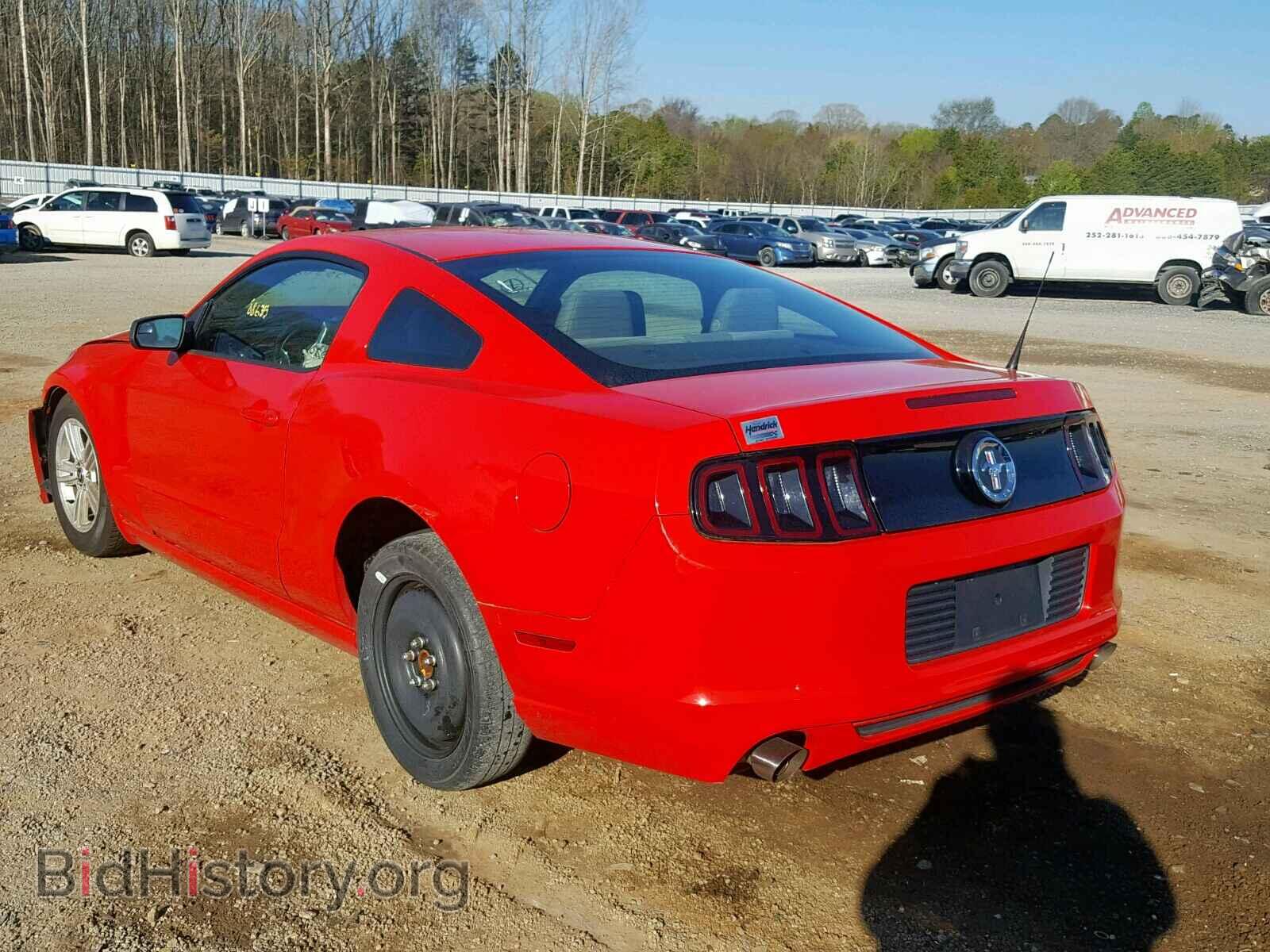 2014 FORD MUSTANG - VIN: 1ZVBP8AM0E5272057 - Фото 3