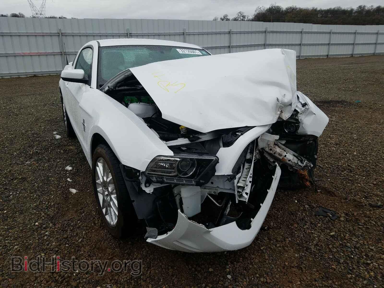 Photo 1ZVBP8AM7E5328205 - FORD MUSTANG 2014