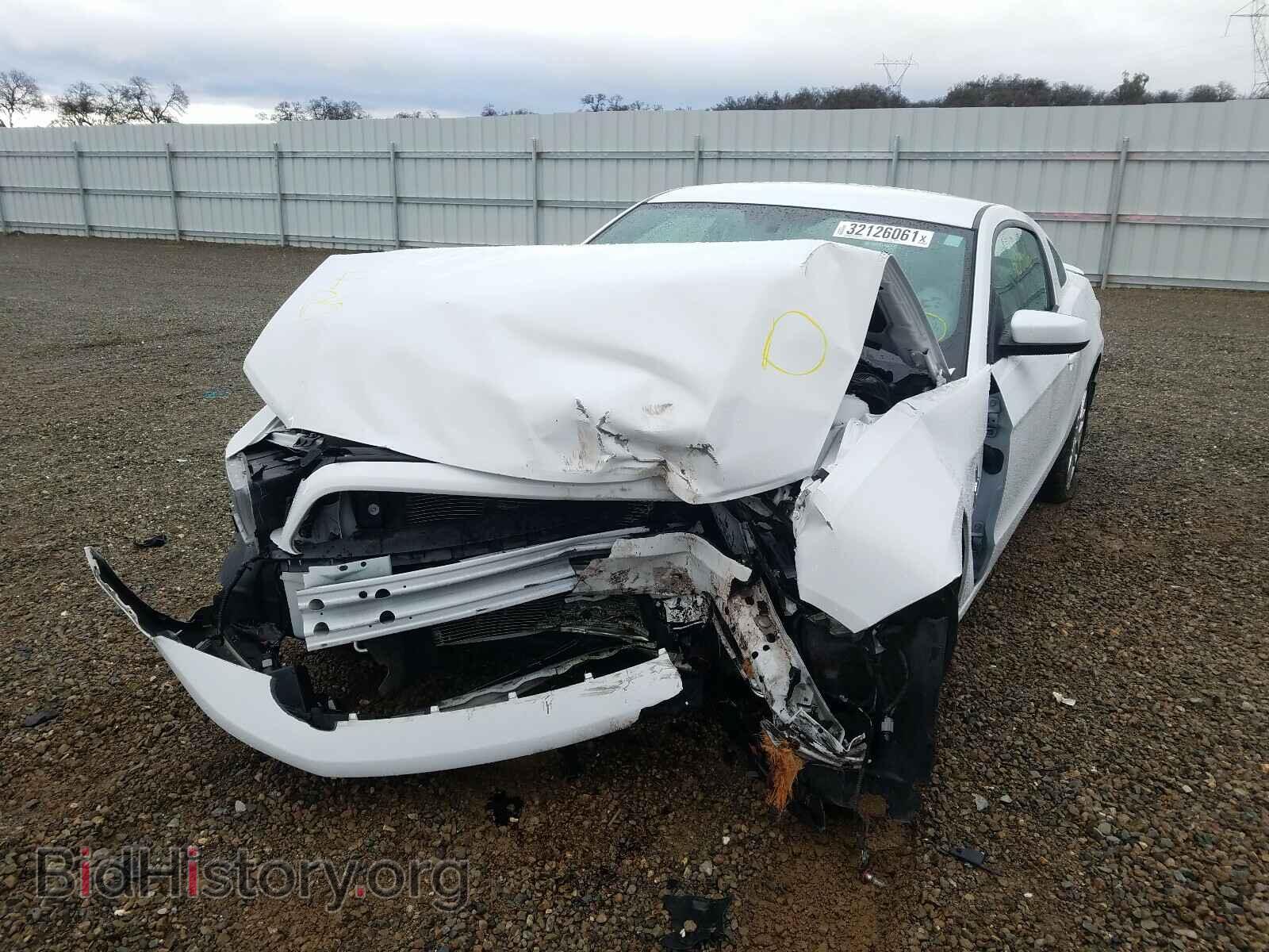2014 FORD MUSTANG - VIN: 1ZVBP8AM7E5328205 - Фото 2