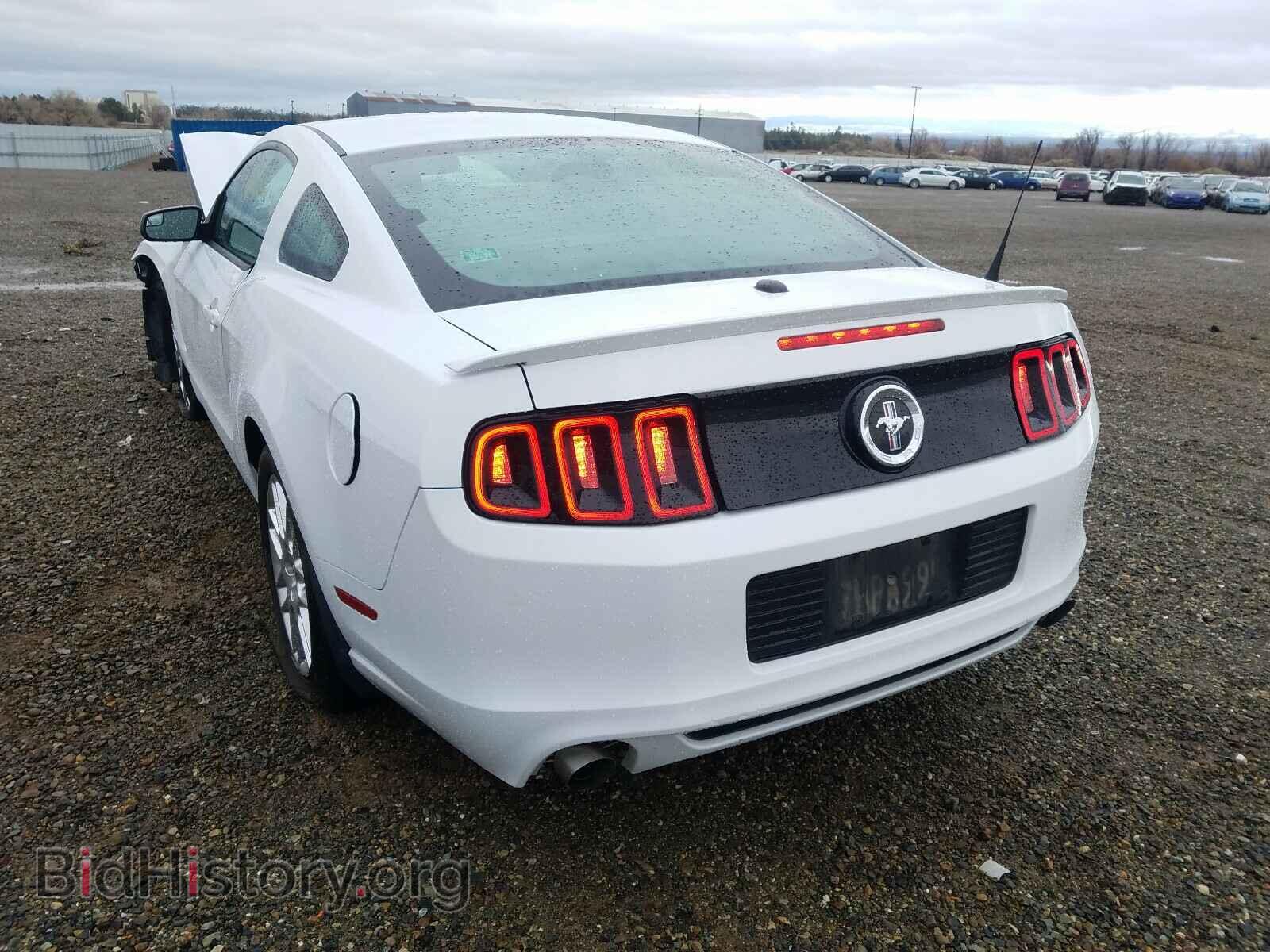 2014 FORD MUSTANG - VIN: 1ZVBP8AM7E5328205 - Фото 3