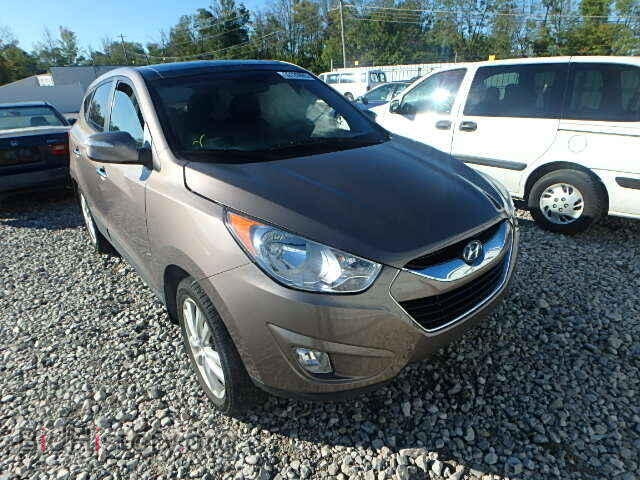 Фотография KM8JUCAC2DU559031 - HYUNDAI TUCSON 2013