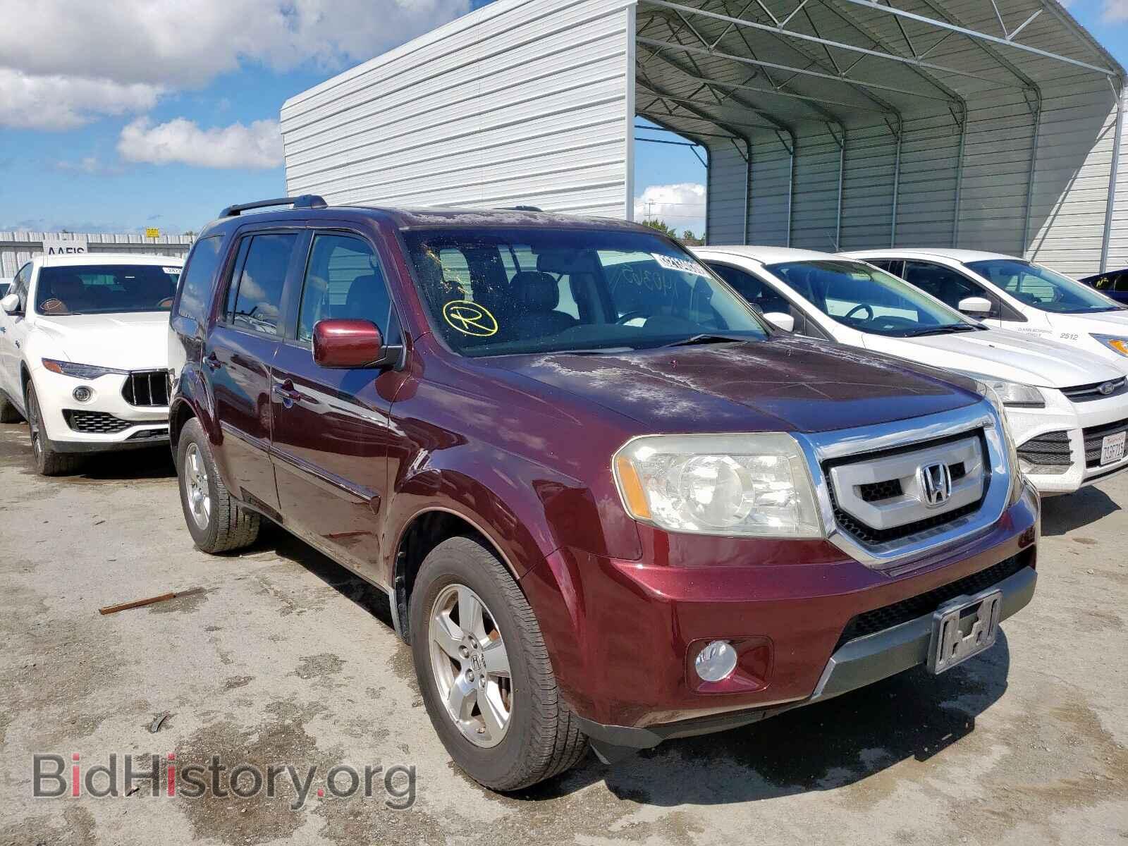 Photo 5FNYF48639B043036 - HONDA PILOT 2009
