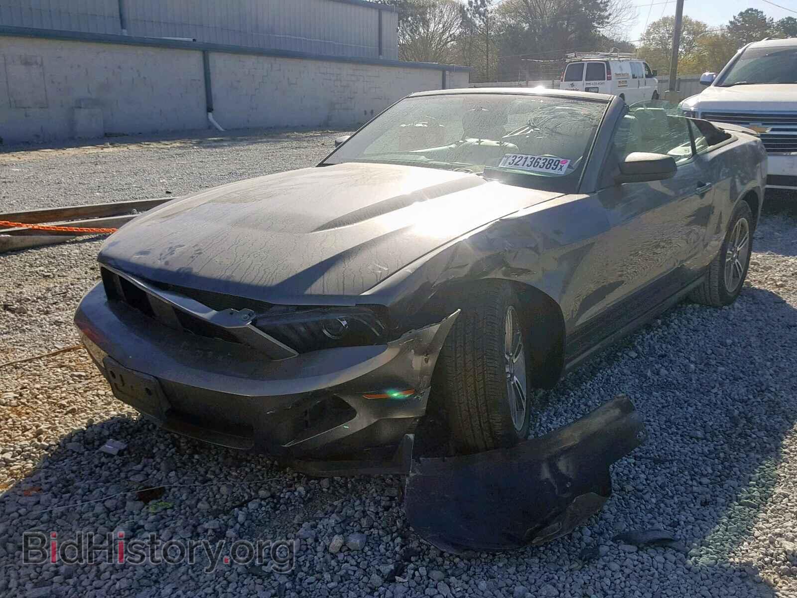 2011 FORD MUSTANG - VIN: 1ZVBP8EM7B5111310 - Фото 2