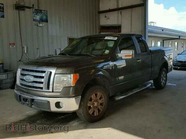 2009 FORD F150 - VIN: 1FTRX12V09FA33558 - Фото 2