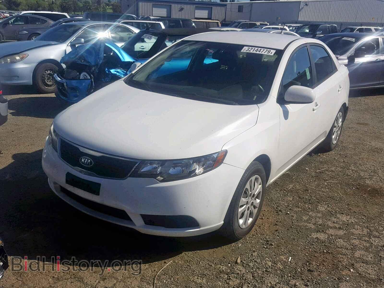 2013 KIA FORTE - VIN: KNAFT4A29D5666840 - Фото 2