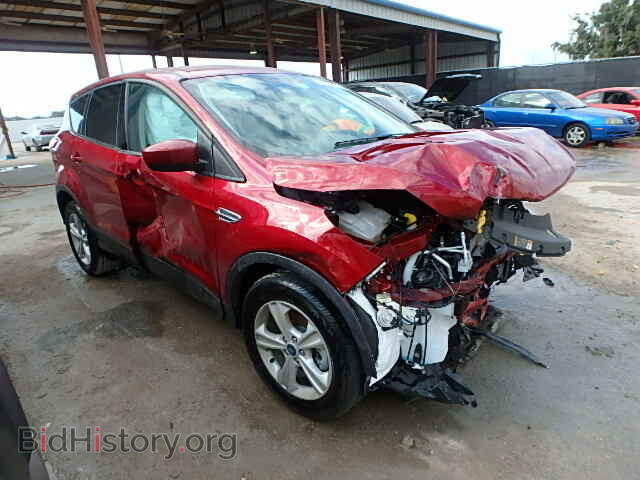 Фотография 1FMCU0GX5EUD41992 - FORD ESCAPE 2014