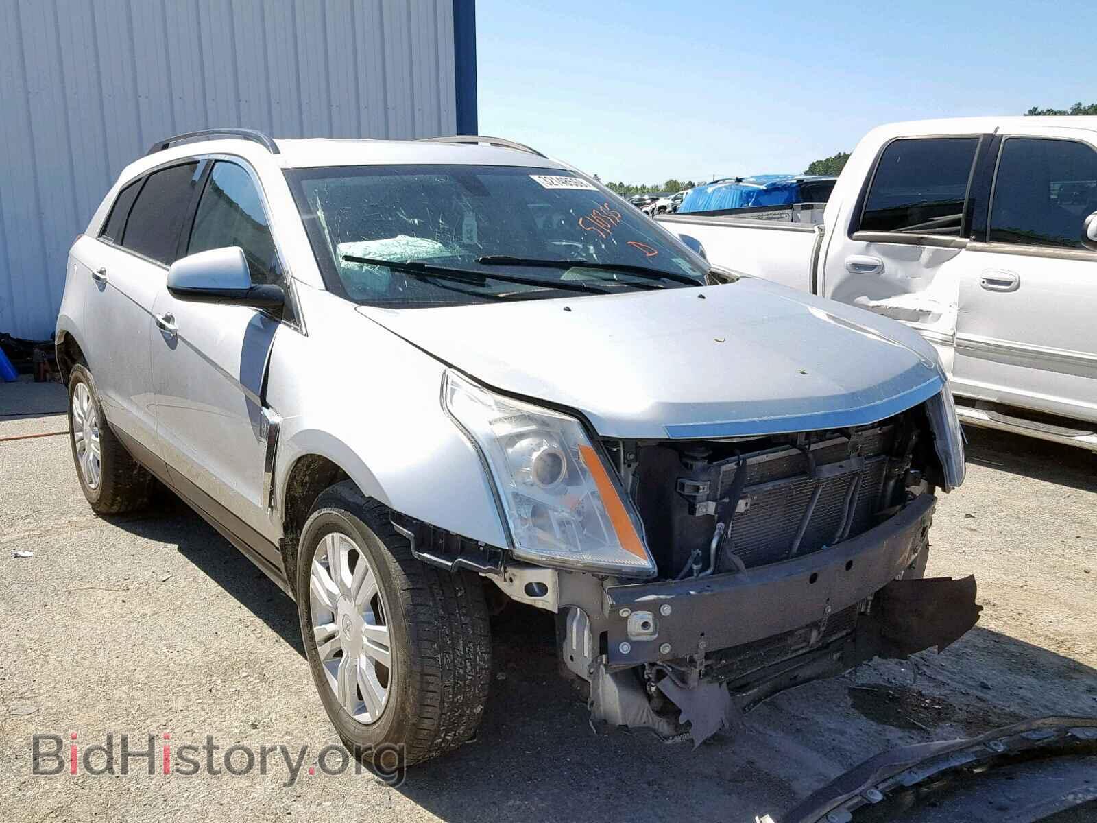 Фотография 3GYFNAE33DS510355 - CADILLAC SRX 2013