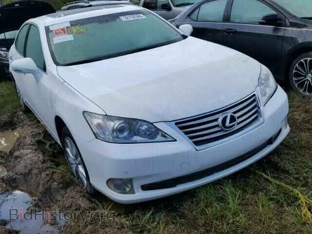 Фотография JTHBK1EG1B2446145 - LEXUS ES350 2011