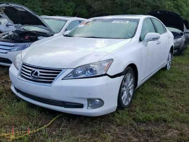 2011 LEXUS ES350 - VIN: JTHBK1EG1B2446145 - Фото 2