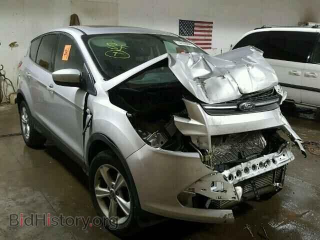 Photo 1FMCU0GX0DUA04421 - FORD ESCAPE 2013