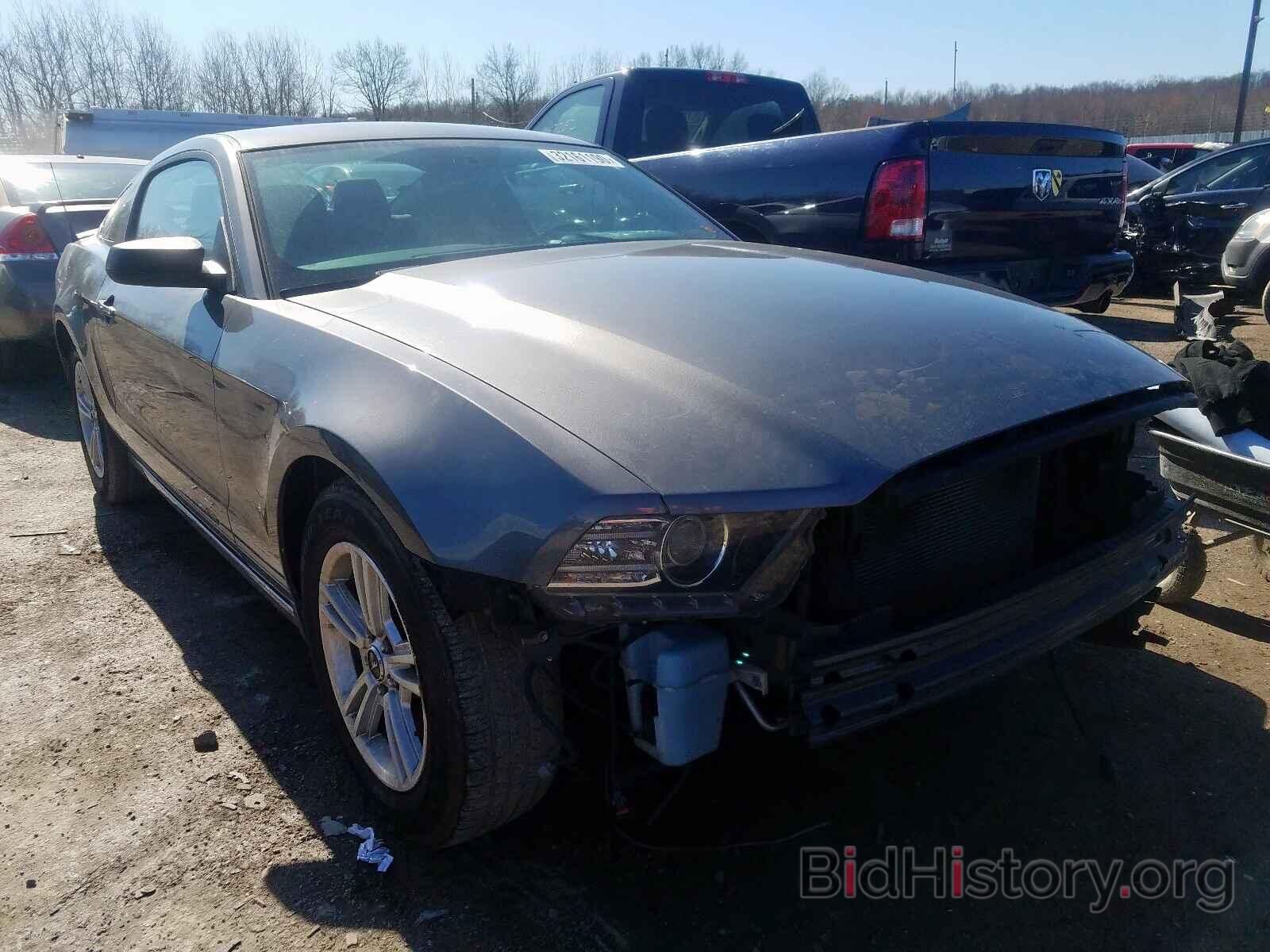 Photo 1ZVBP8AM6E5201476 - FORD MUSTANG 2014