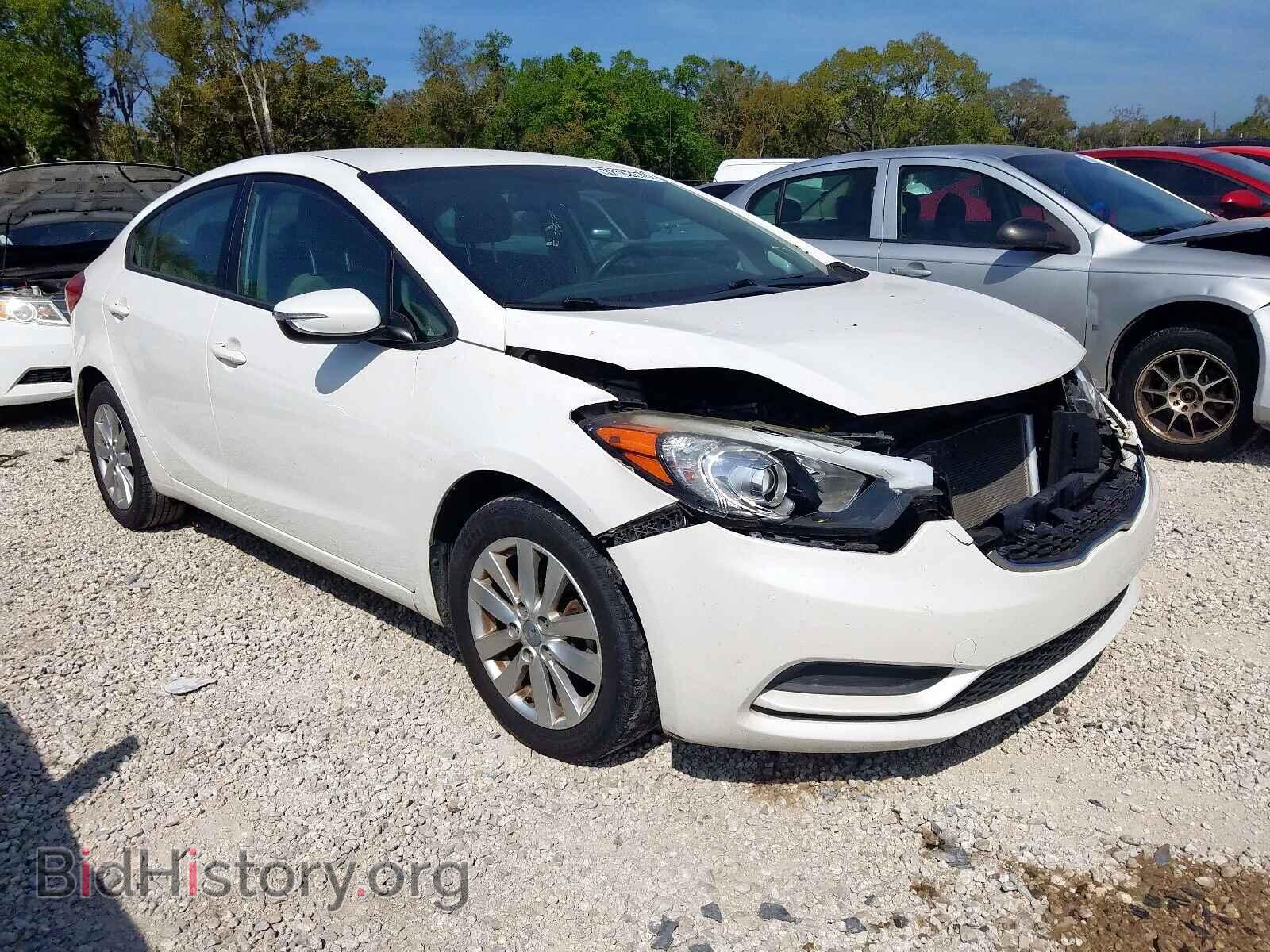 Фотография KNAFX4A66E5236126 - KIA FORTE 2014