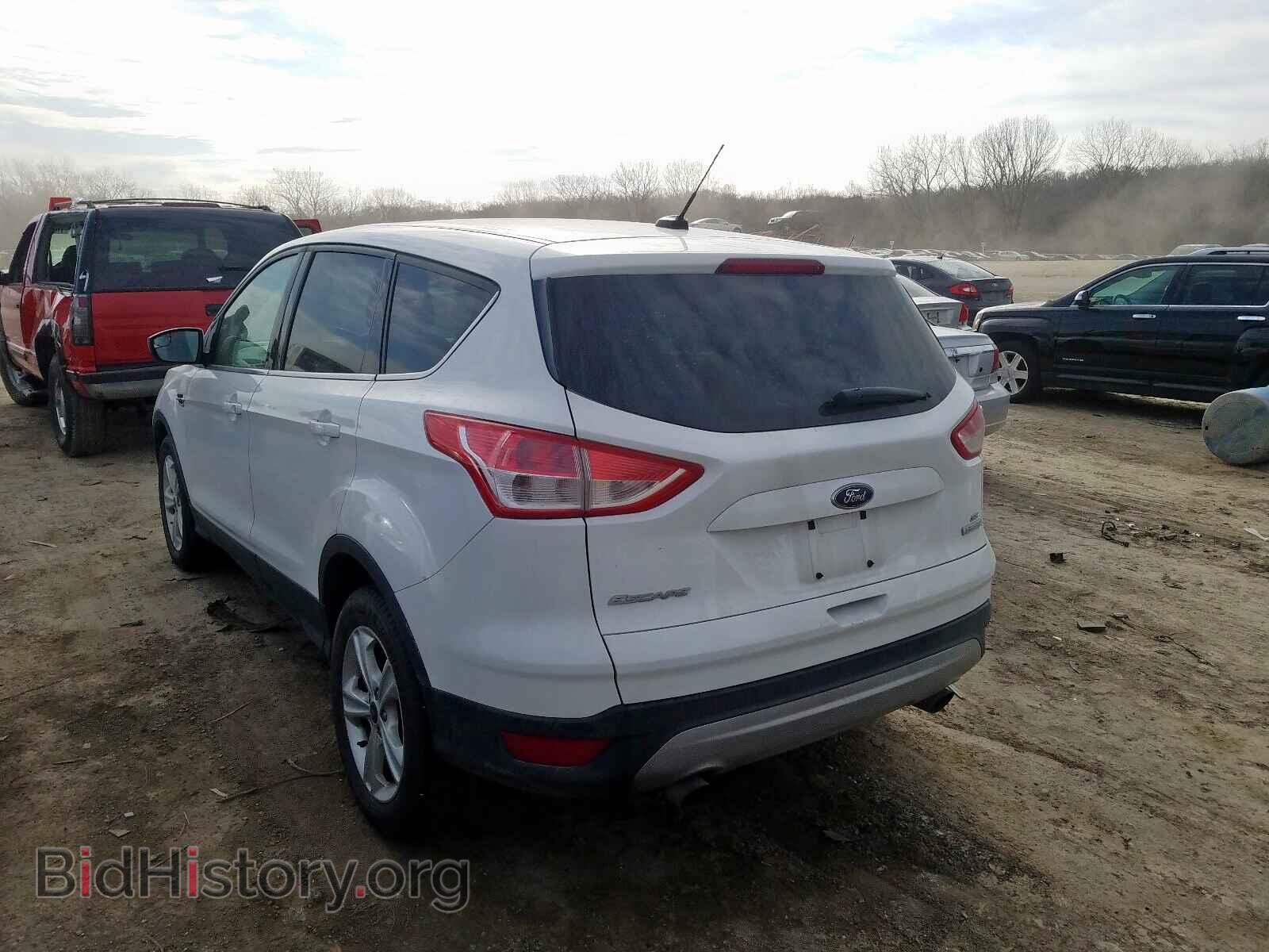 2013 FORD ESCAPE - VIN: 1FMCU0GX9DUA74306 - Фото 3
