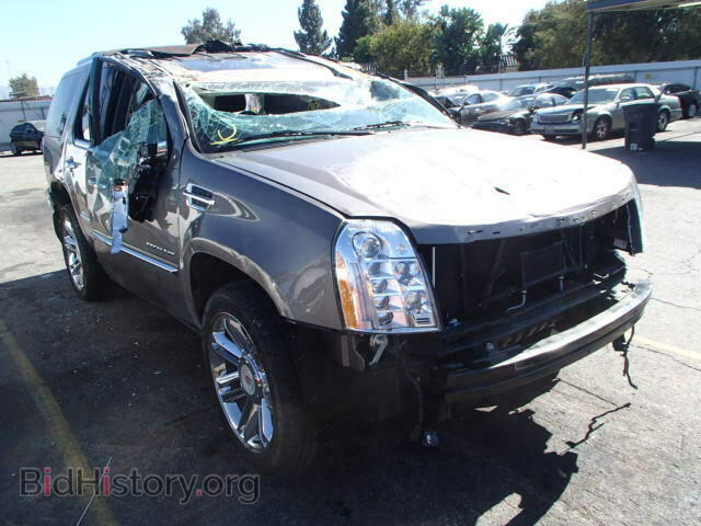 Фотография 1GYS4DEF0DR319332 - CADILLAC ESCALADE 2013