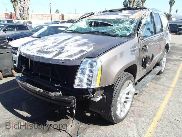 2013 CADILLAC ESCALADE - VIN: 1GYS4DEF0DR319332 - Фото 2
