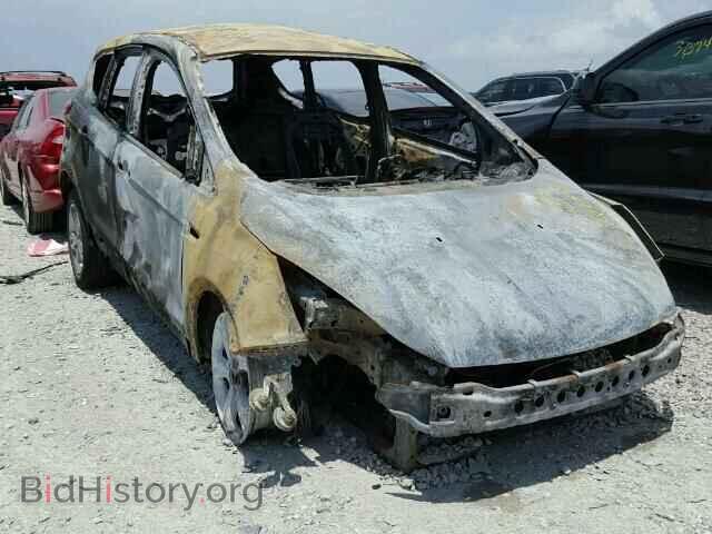 Photo 1FMCU0G91DUC26970 - FORD ESCAPE 2013