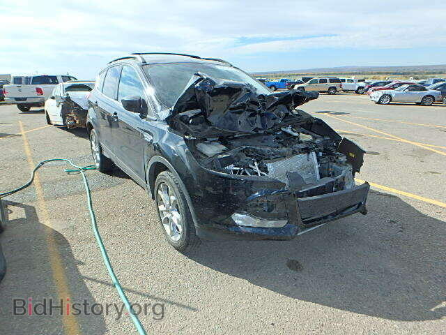 Photo 1FMCU9GX2DUB08736 - FORD ESCAPE 2013