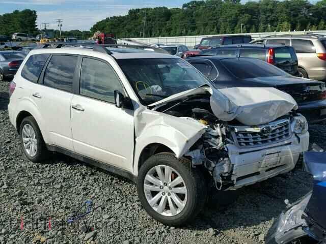 Фотография JF2SHACC2CH450818 - SUBARU FORESTER 2012
