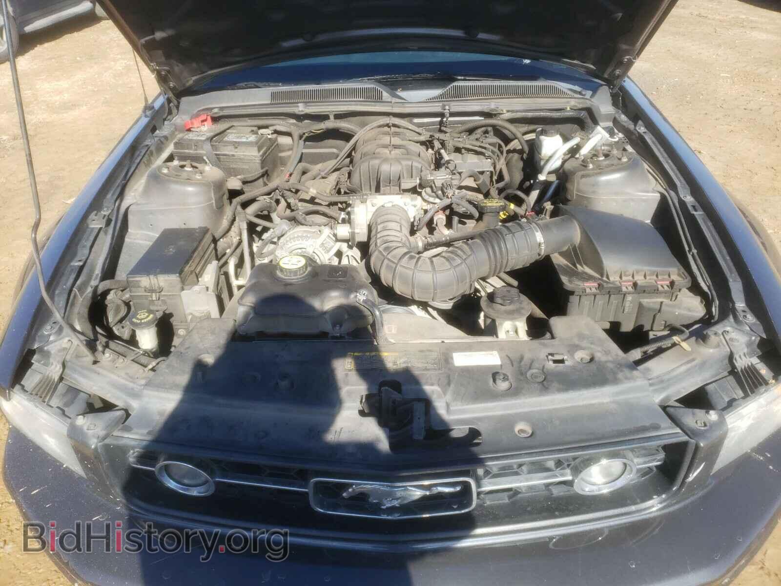 2009 FORD MUSTANG - VIN: 1ZVHT80N895127113 - Фото 7
