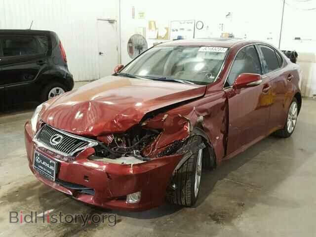 2009 LEXUS IS250 - VIN: JTHCK262092028814 - Фото 2