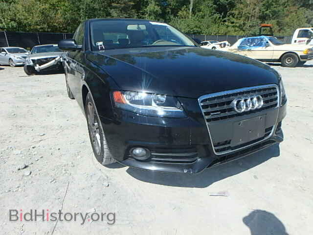 Фотография WAUBFAFL4AN004505 - AUDI A4 2010