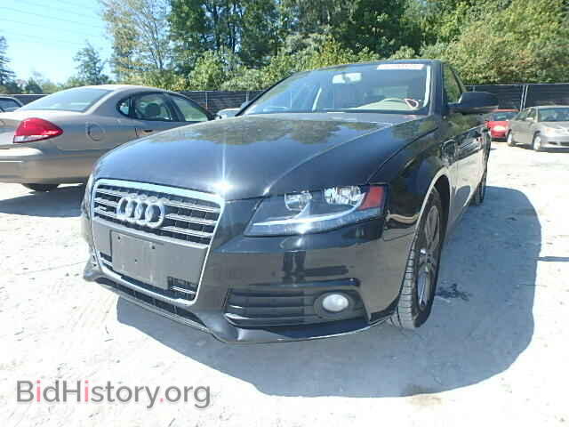 2010 AUDI A4 - VIN: WAUBFAFL4AN004505 - Фото 2