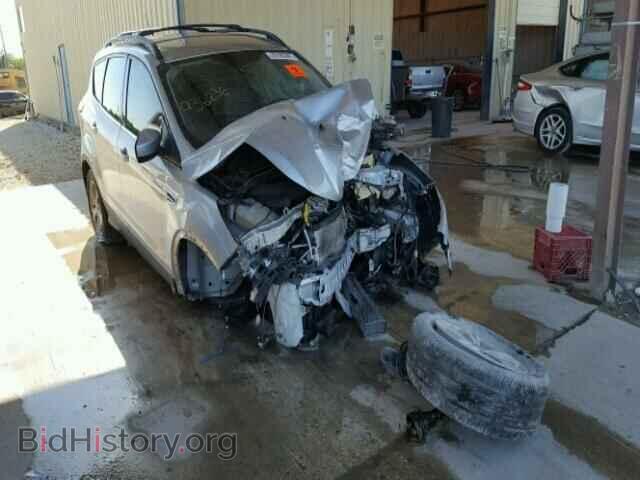 Photo 1FMCU0G98DUD85615 - FORD ESCAPE 2013