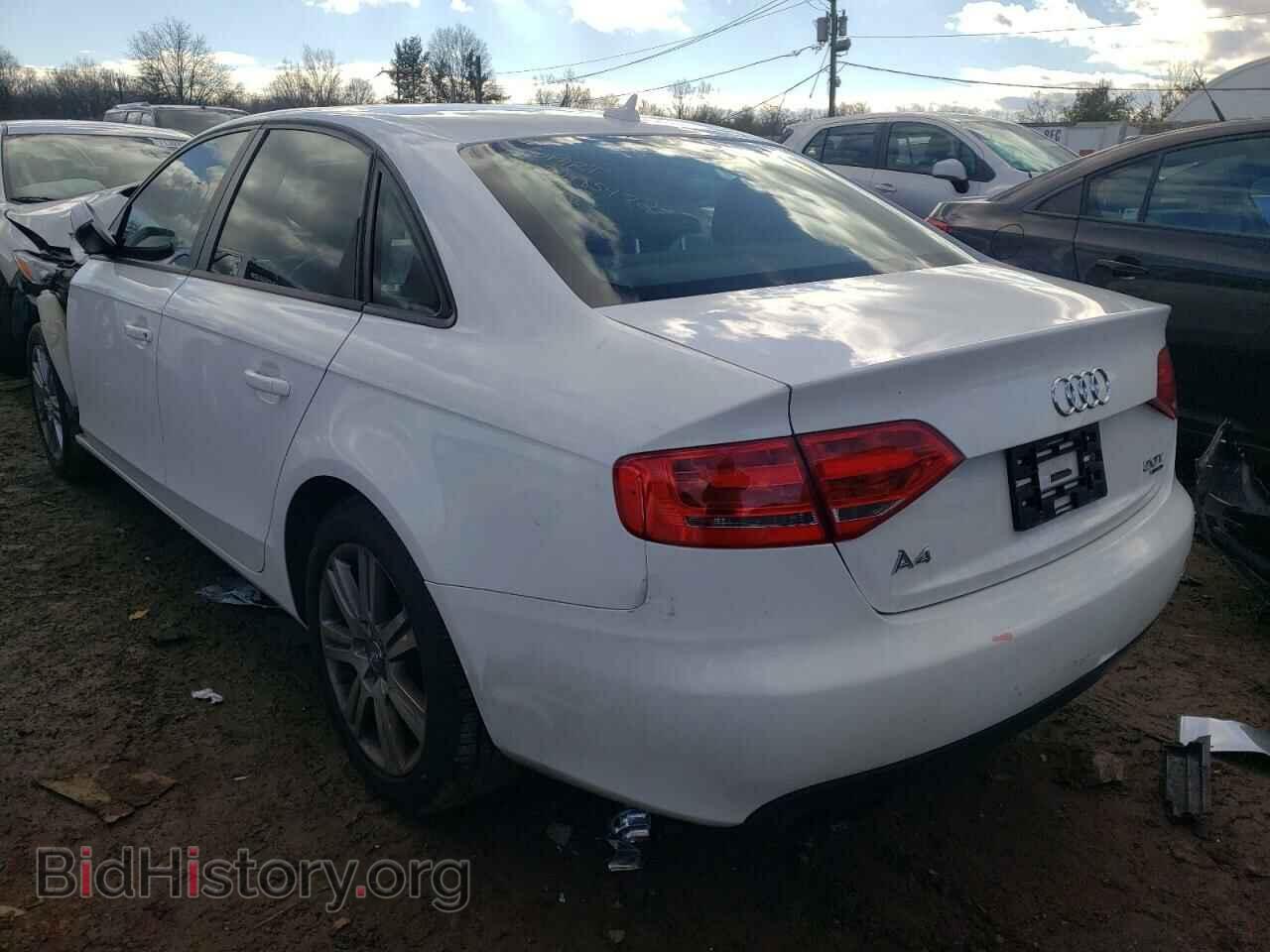 2011 AUDI A4 - VIN: WAUBFAFL3BN022964 - Фото 3