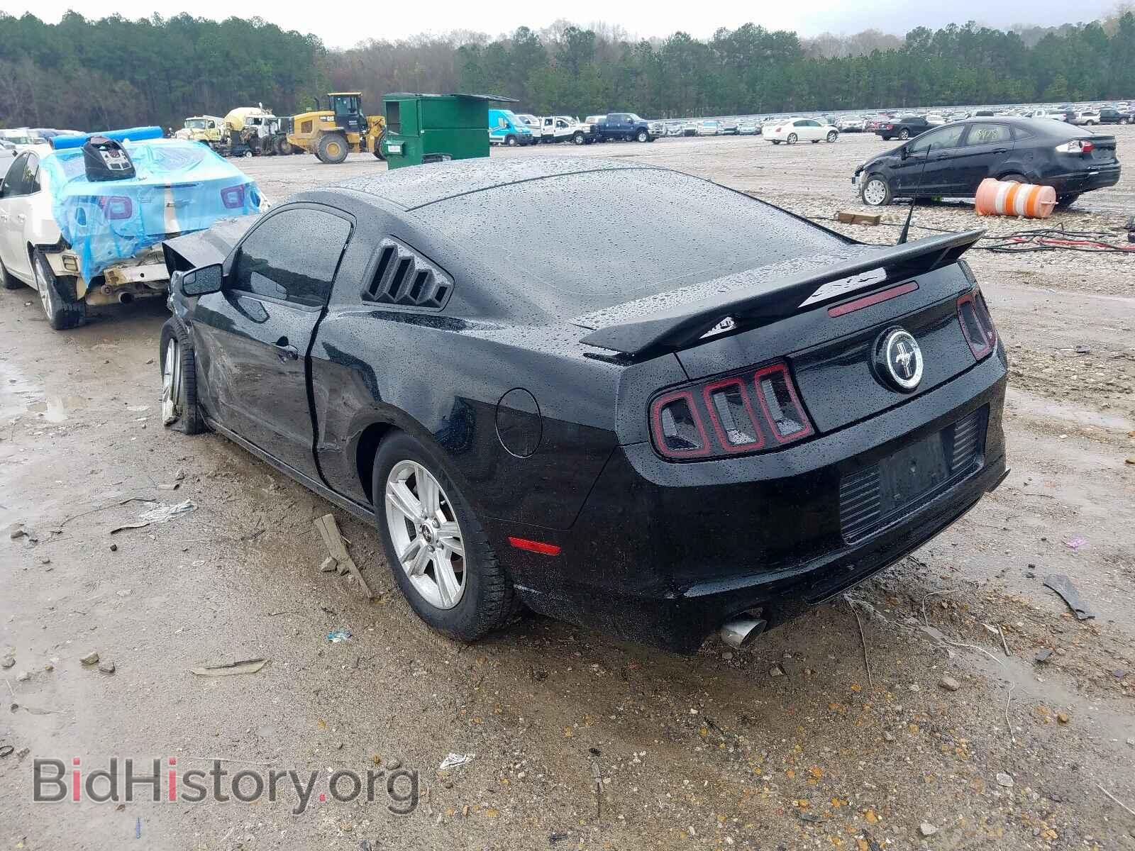 2014 FORD MUSTANG - VIN: 1ZVBP8AM5E5330647 - Фото 3