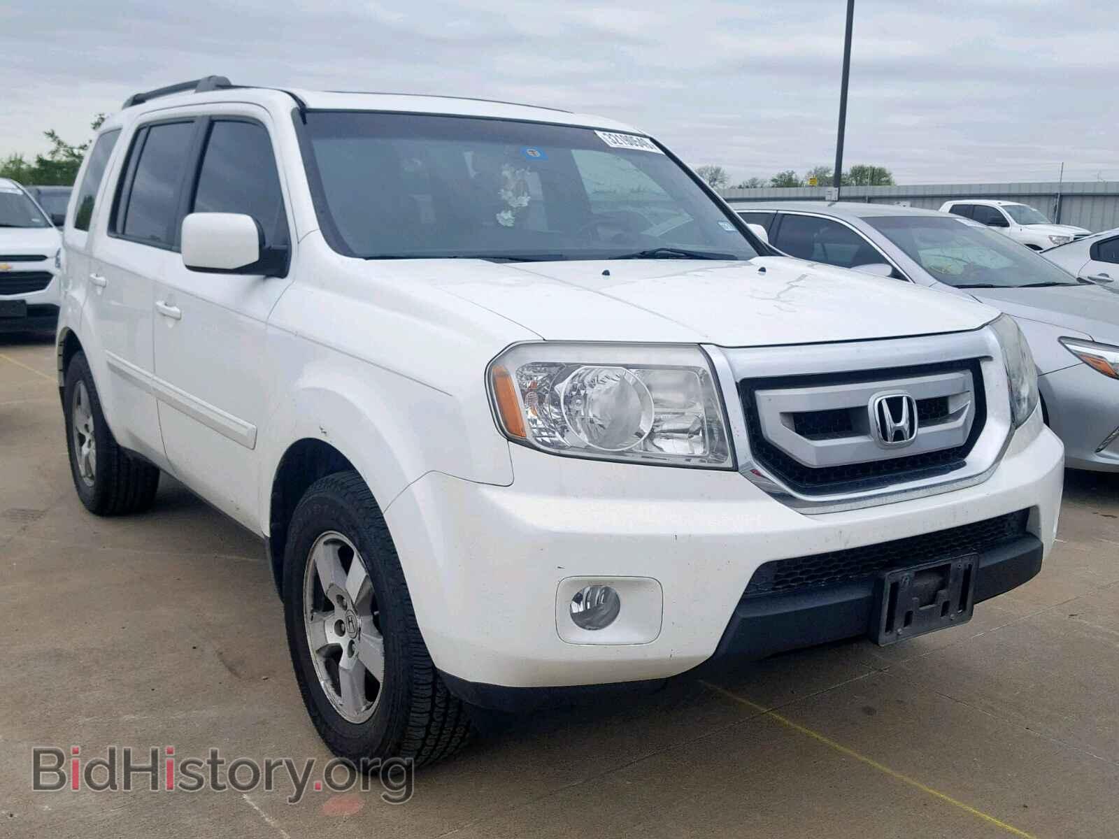 Фотография 5FNYF3H68BB032842 - HONDA PILOT EXL 2011