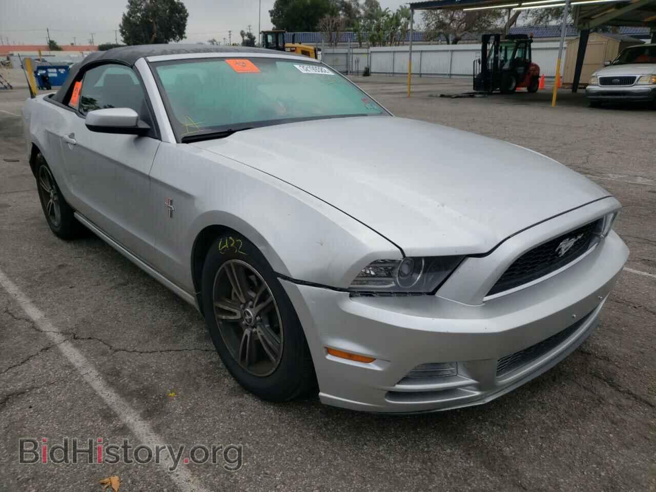 Фотография 1ZVBP8EM7D5209742 - FORD MUSTANG 2013