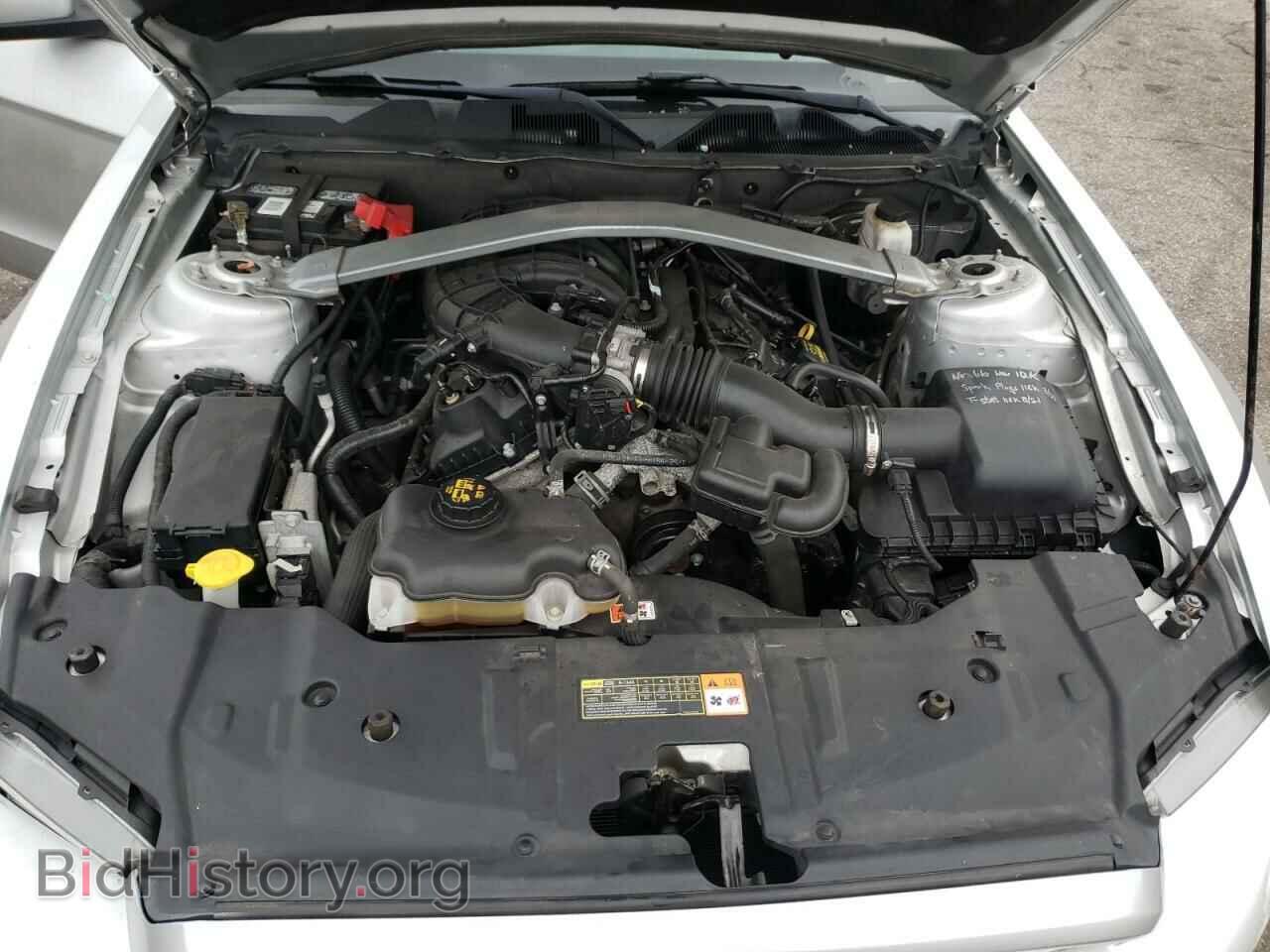 2013 FORD MUSTANG - VIN: 1ZVBP8EM7D5209742 - Фото 7