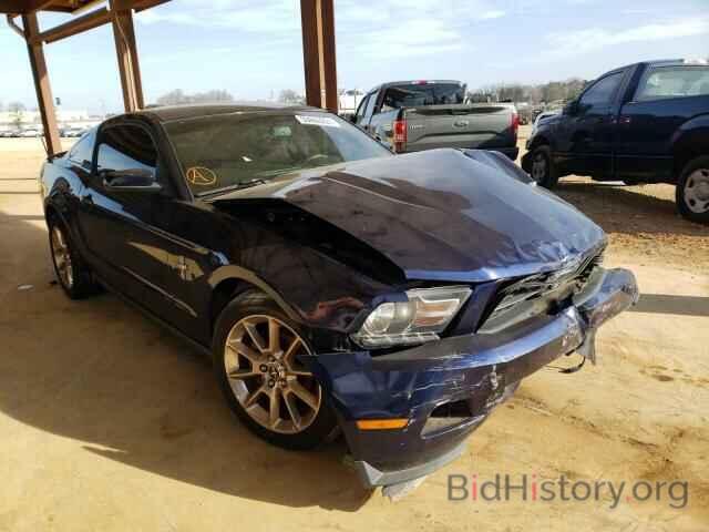 Photo 1ZVBP8AN4A5150241 - FORD MUSTANG 2010
