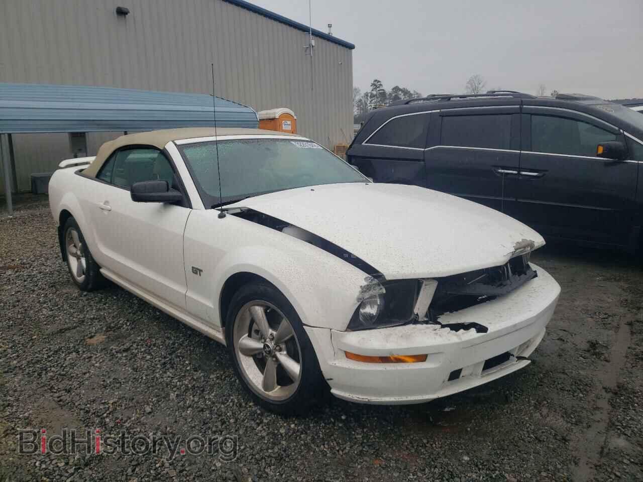 Фотография 1ZVHT85H965260848 - FORD MUSTANG 2006
