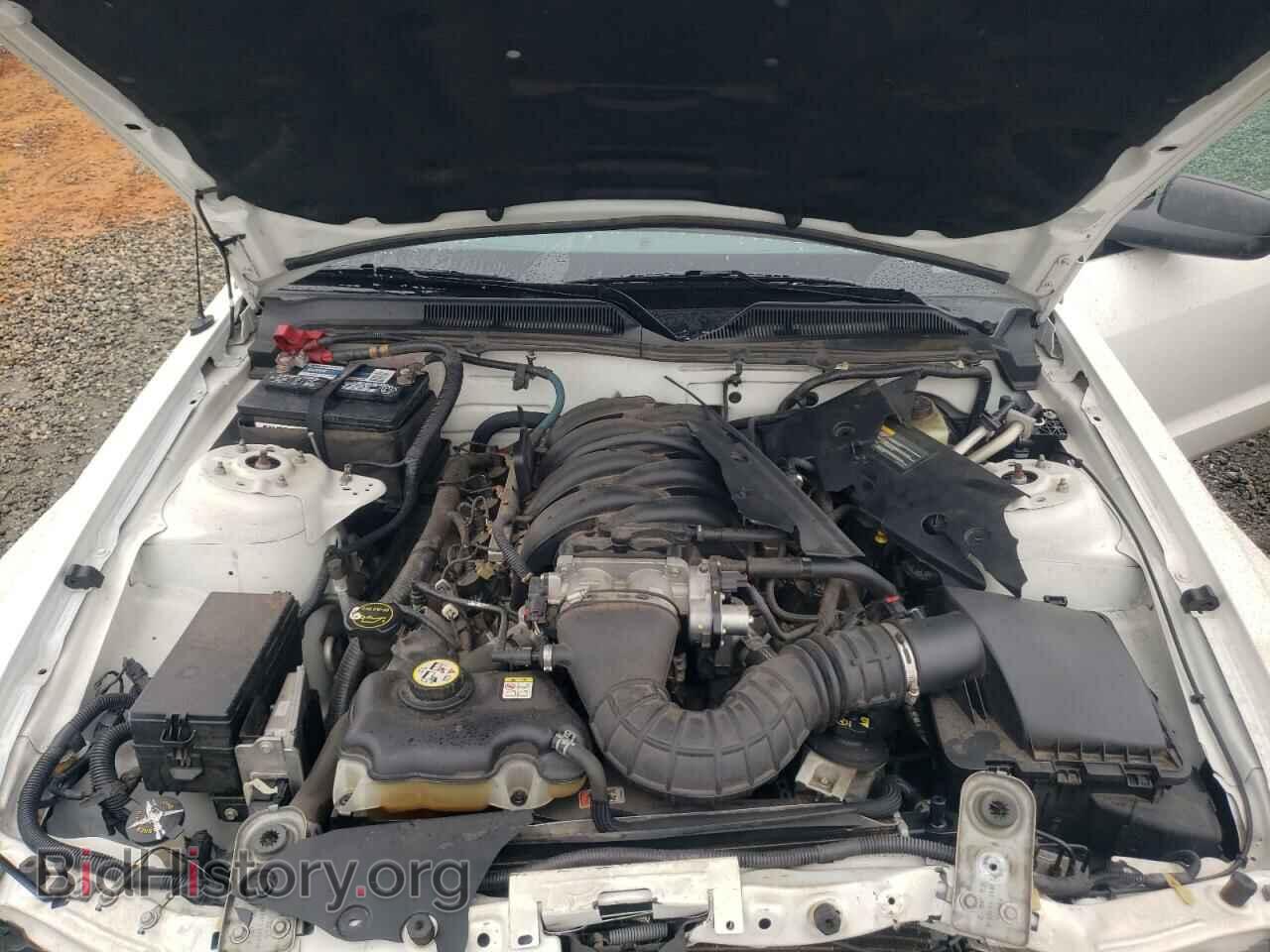 2006 FORD MUSTANG - VIN: 1ZVHT85H965260848 - Фото 7