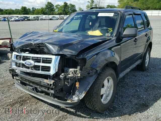 2011 FORD ESCAPE - VIN: 1FMCU9DG0BKB69256 - Фото 2