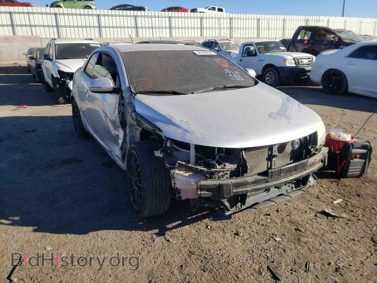Фотография KNAFU6A29B5315965 - KIA FORTE 2011
