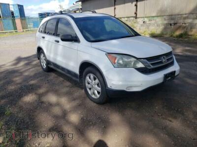 2011 Honda CRV CR-V SE, белый — VIN 5J6RE3H40BL015675, Copart