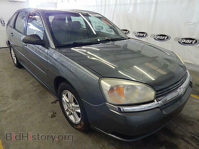 Photo 1G1ZT62855F127361 - CHEVROLET MALIBU 2005