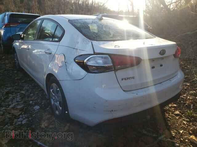 2017 KIA FORTE - VIN: 3KPFK4A78HE075832 - Фото 3