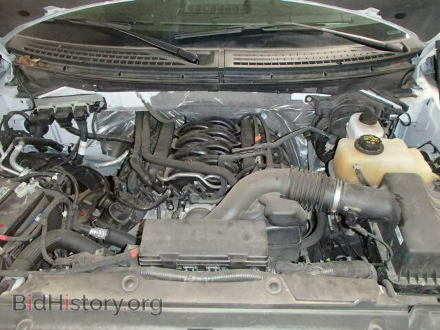 2013 FORD F150 - VIN: 1FTFX1EF0DFB37600 - Фото 7