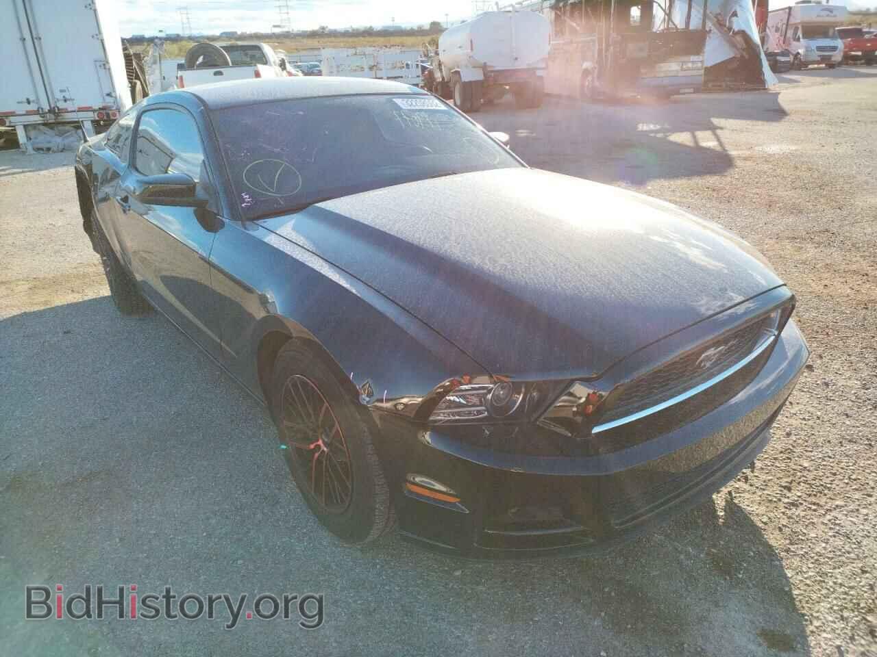 Фотография 1ZVBP8AMXD5236374 - FORD MUSTANG 2013