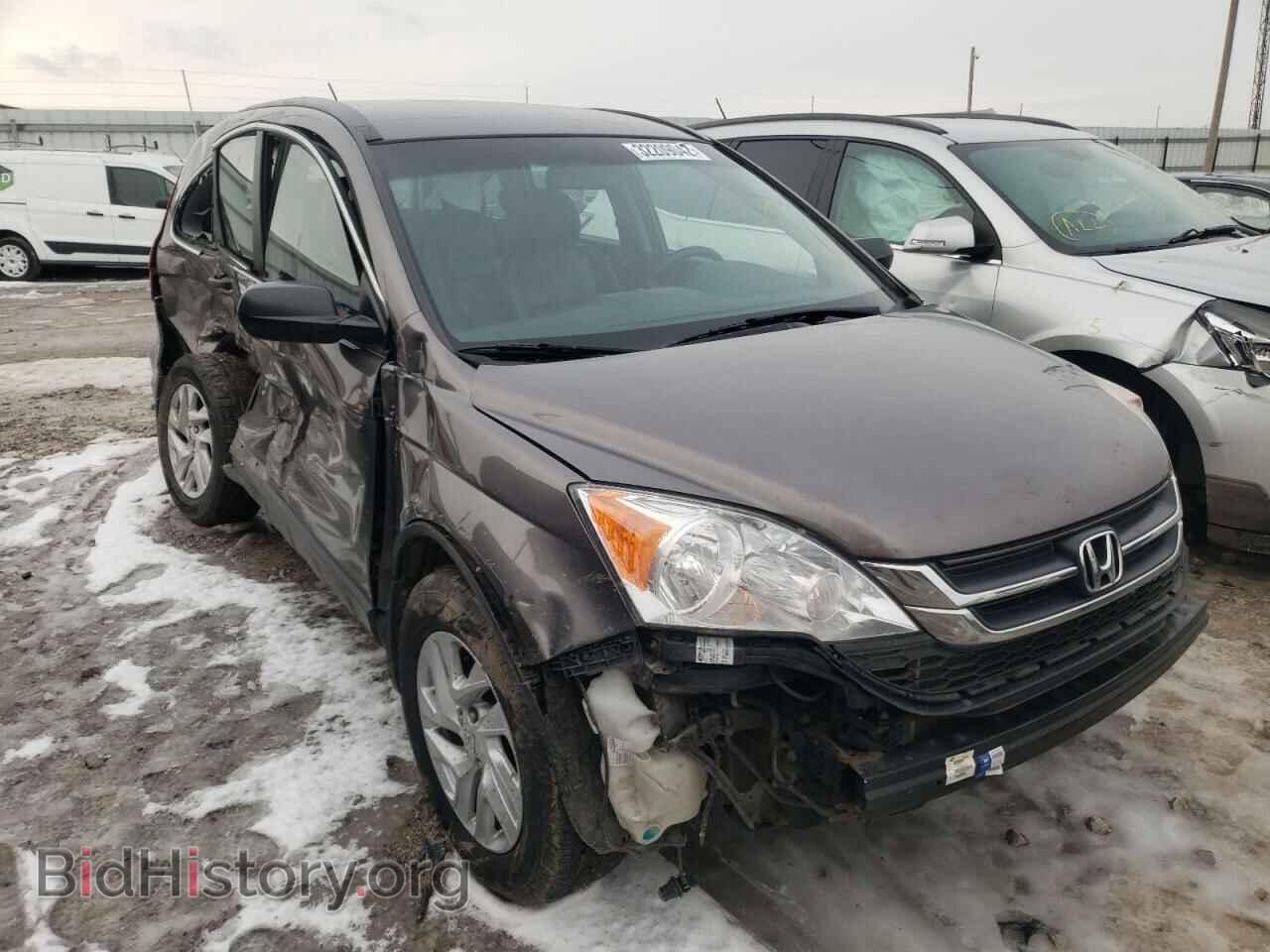 Фотография 5J6RE4H32AL063268 - HONDA CRV 2010