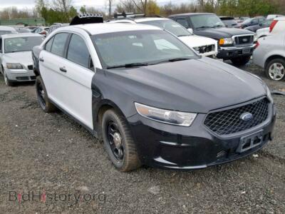 2017 Ford TAURUS Taurus POL, двухцветный — VIN 1FAHP2MK1HG122929, Copart