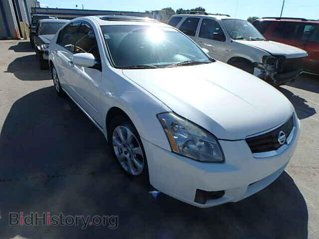 Photo 1N4BA41E28C817932 - NISSAN MAXIMA 2008