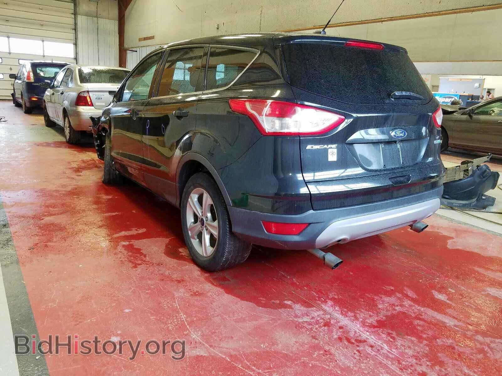 2014 FORD ESCAPE - VIN: 1FMCU0GX8EUC72702 - Фото 3