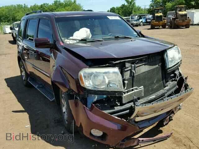 Photo 5FNYF48949B030239 - HONDA PILOT 2009